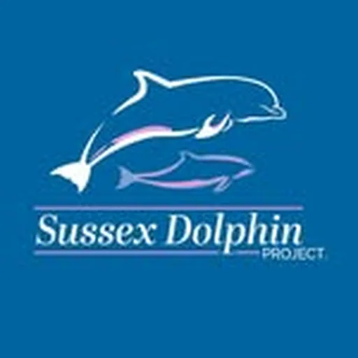 @sussex_dolphin_project profile image