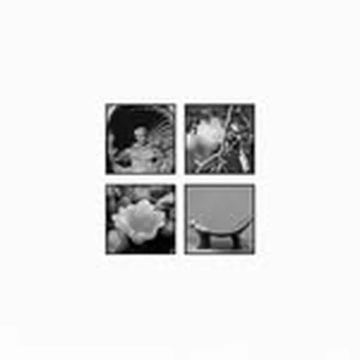 @sustantivo.world profile image