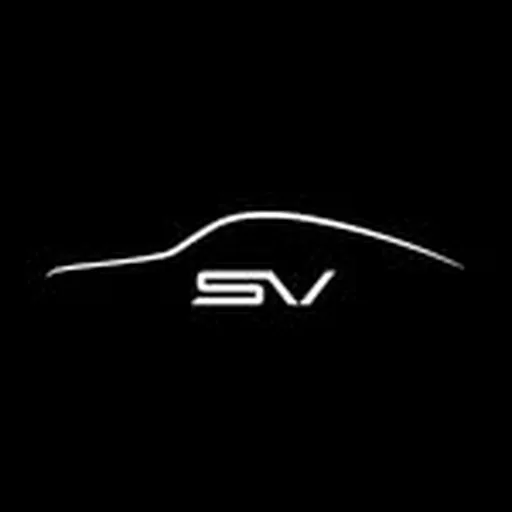 @svauto profile image