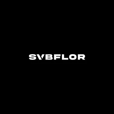 @svbflor profile image