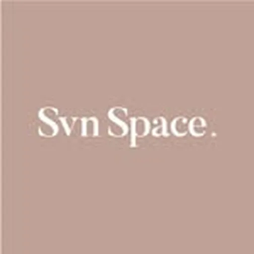 @svnspace profile image