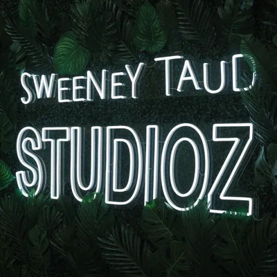 @sweeneytaud profile image