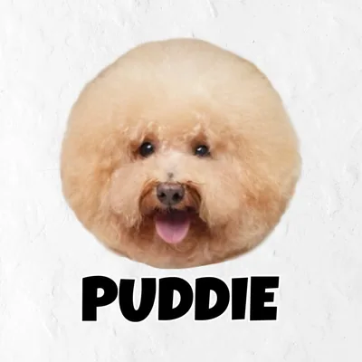 @sweetiepuddie_ profile image