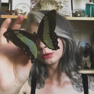 @sweetsiana profile image