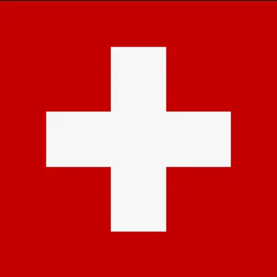 @swiss.views profile image