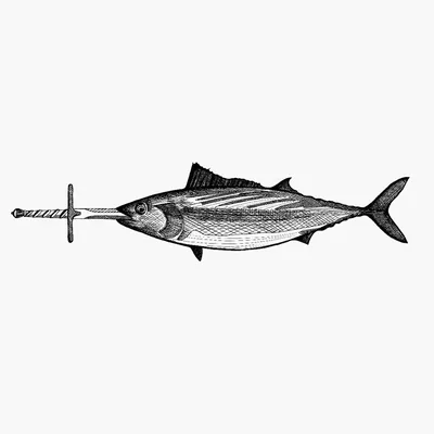 @swordfishcocktailclub profile image