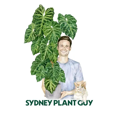 @sydneyplantguy profile image