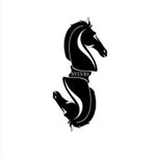 @sylvio.nyc profile image