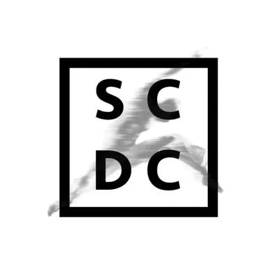 @szegedcontemporarydanceco profile image