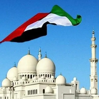 @szgmc_ae profile image