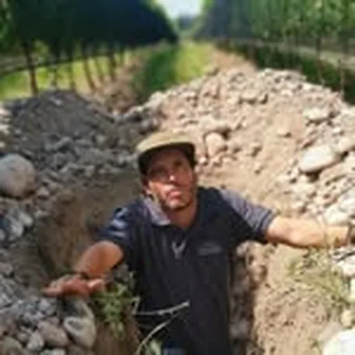 @szuccardi profile image