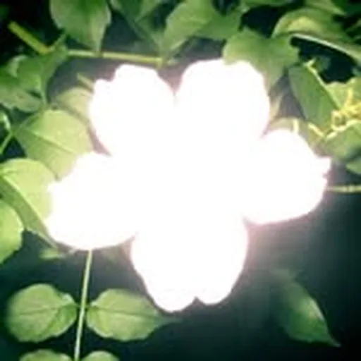 @t.a__ok profile image