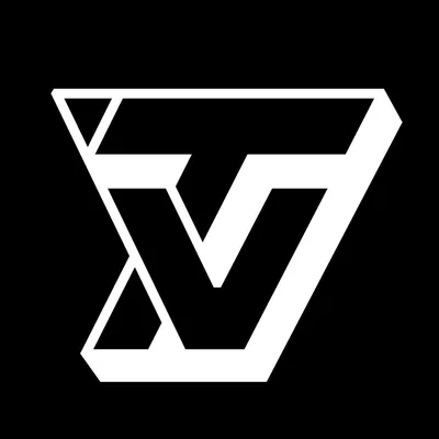 @t.vieira profile image