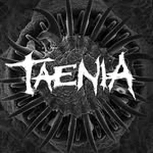 @taeniaoficial profile image