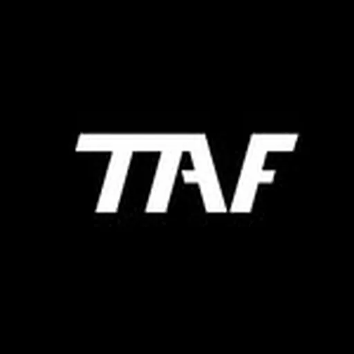 @taf_theartofighting profile image