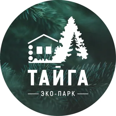 @taigapark72 profile image