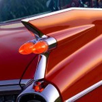 @tailfinera profile image