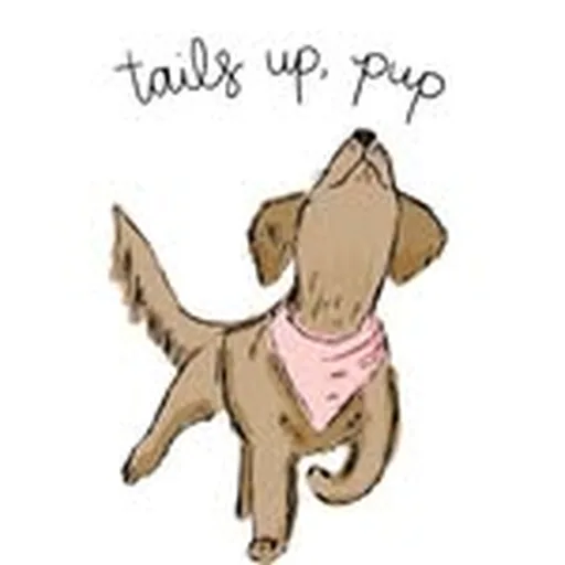@tailsuppup profile image