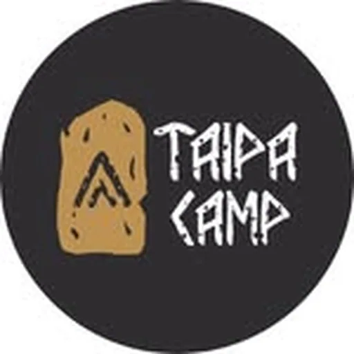 @taipa.tam profile image
