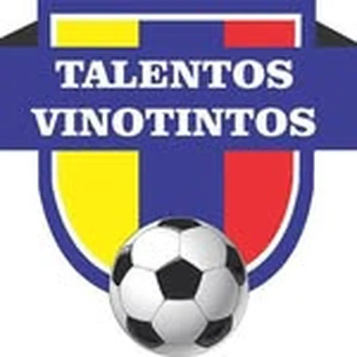 @talentosvinotintos profile image