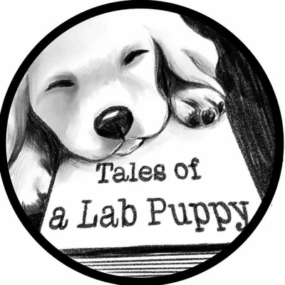 @talesofalabpuppy profile image