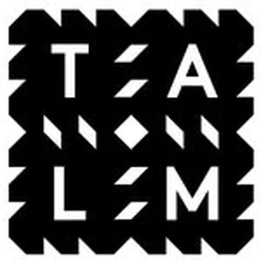 @talm_lemans profile image