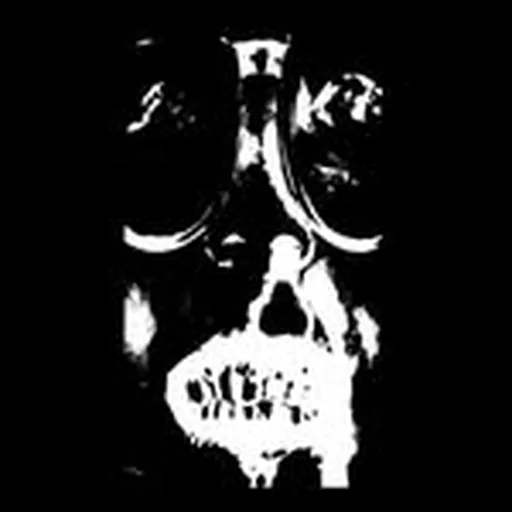 @talpahh profile image
