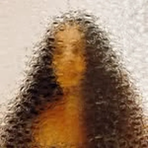 @tamarabdul profile image