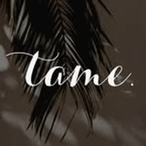 @tamehairsalons profile image