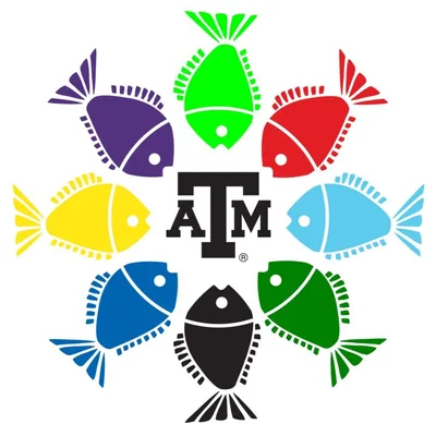 @tamufishcamp profile image