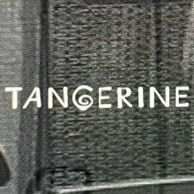 @tangerine.nyc profile image