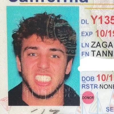 @tannerzagarino profile image