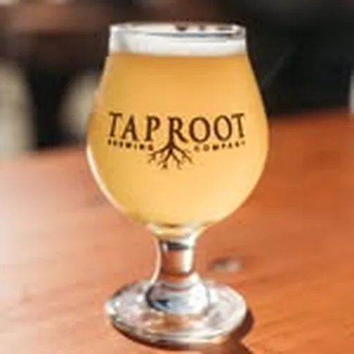 @taprootbeer profile image