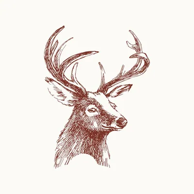 @tarrytownhouse profile image
