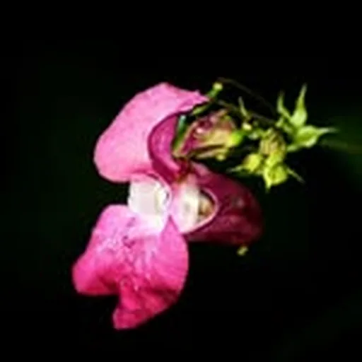 @tatephotoart profile image