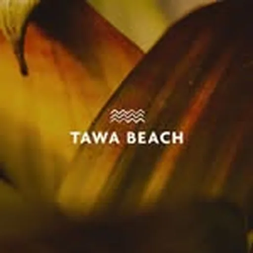 @tawabeach profile image