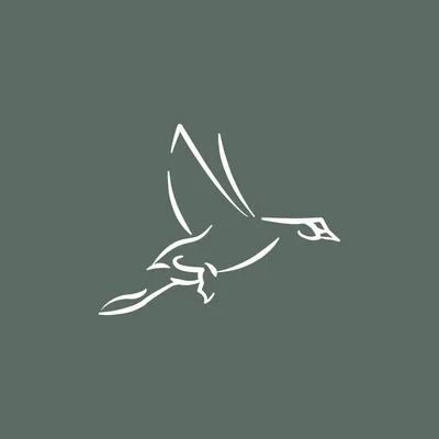 @tawarefugio profile image