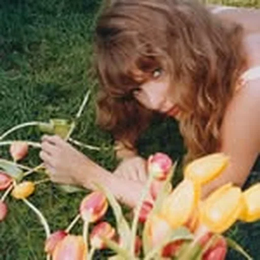 @taylorswift profile image