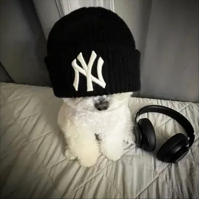 @tdez20 profile image