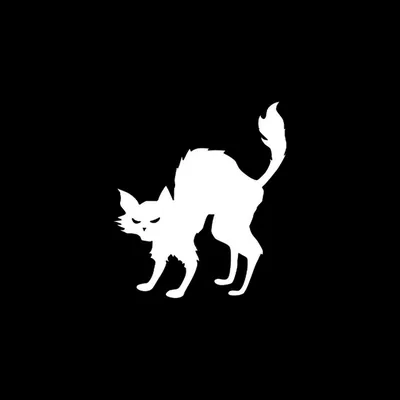@team.blackcat profile image