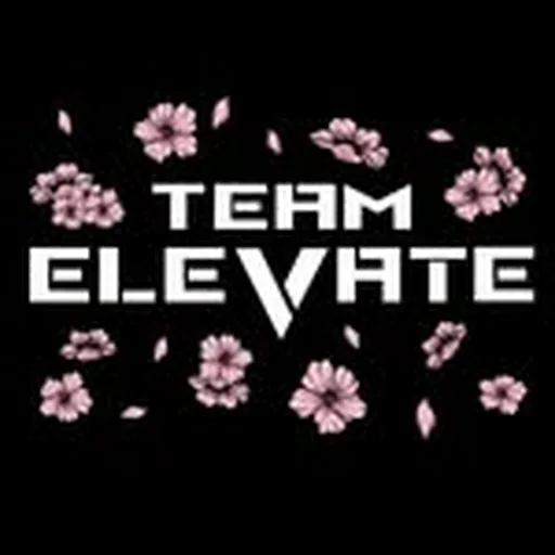 @team.elevate_ profile image