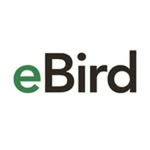@team_ebird profile image