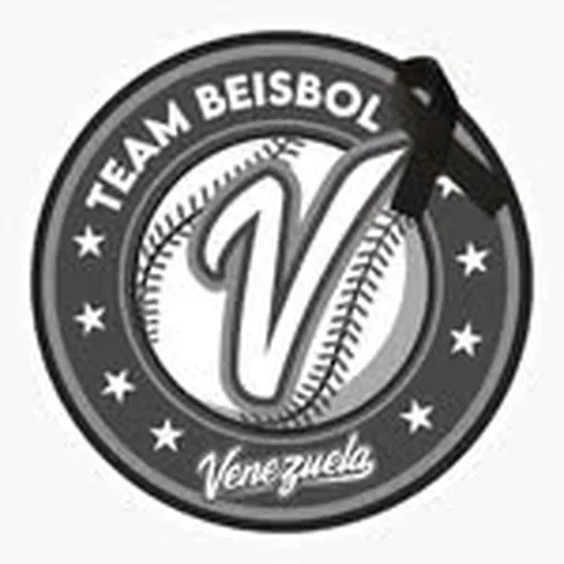 @teambeisbolve profile image