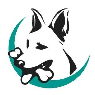 @teamdctk9 profile image