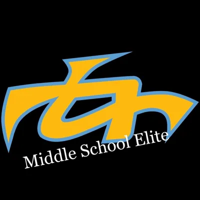 @teamfinalelitems profile image