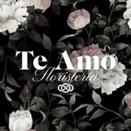 @teamofloristeria profile image