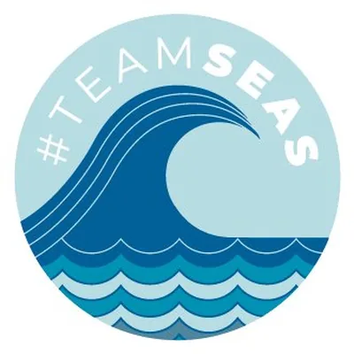 @teamseas profile image