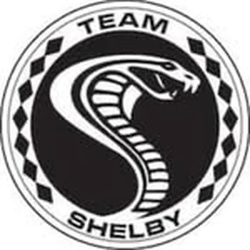 @teamshelbyclub profile image