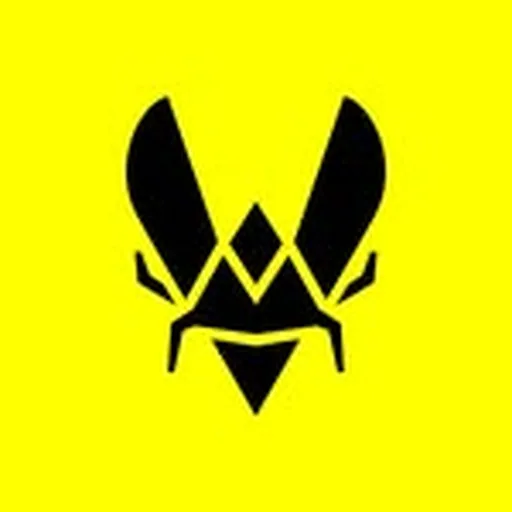 @teamvitality profile image