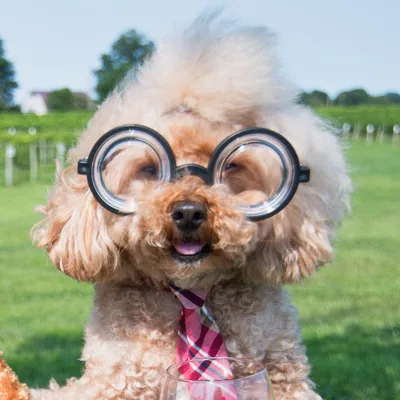 @ted_gram profile image